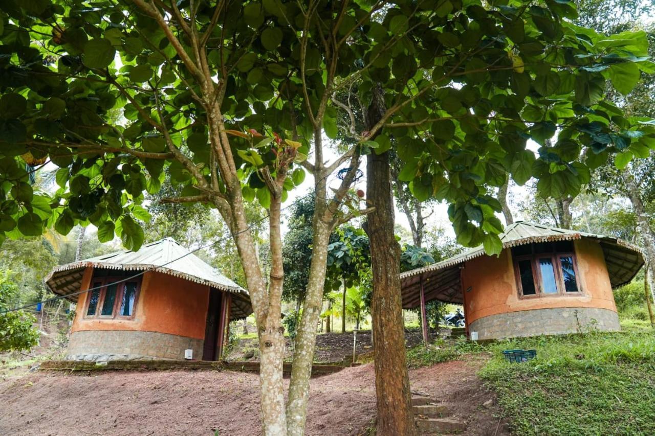 Punarjani Ayurvedic Resorts Ramakkalmedu Exterior foto